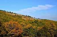 Slovensko - Kysucké Beskydy: Hala na Malej Raczy