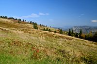 Slovensko - Kysucké Beskydy: Hala na Malej Raczy