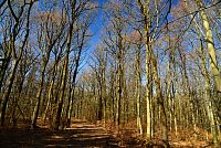 Bílé Karpaty (5): Trasa nad obcí Komňa – Bučník, Zuvačov, Modrá voda