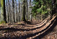 Bílé Karpaty: zelená turistická trasa Pod Bučníkem