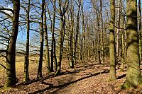 Bílé Karpaty: zelená turistická trasa Pod Bučníkem