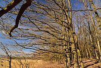 Bílé Karpaty: zelená turistická trasa Pod Bučníkem