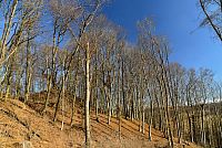 Bílé Karpaty: Hrádek - zbytky zříceniny hradu Zuvačov