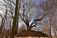 Bílé Karpaty: Hrádek - zbytky zříceniny hradu Zuvačov