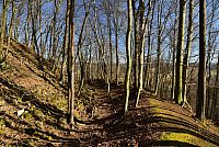 Bílé Karpaty: Hrádek - zbytky zříceniny hradu Zuvačov, ochranný val