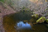 Bílé Karpaty: starý lom Modrá Voda