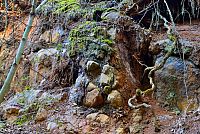 Bílé Karpaty: starý lom Modrá Voda