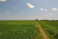 Maďarská pusta: rybníky Hortobágy-Halastó