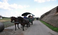 Maďarská pusta - Hortobágy: výlet do pusty koňským povozem