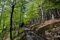 Vsetínské vrchy: cesta z Dušné na Vsacký Cáb
