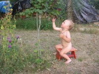 fotka uživatele pastelka