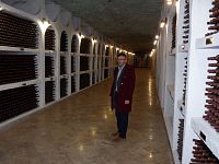 Národní archiv vín