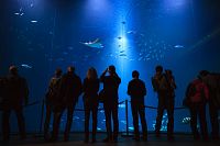 Ozeaneum Stralsund