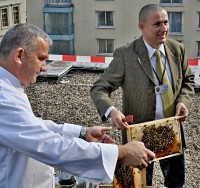 M. Kubec a A. Uváčik u včel na střeše hotelu InterContinental