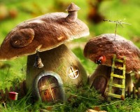 fotka uživatele SimcaMartin