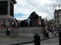 Trafalgar Square - další lev v obležení :-)
