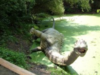 DINOPARK - 2010