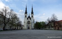 Kostel se nachází na náměstí Svatopluka Čecha v Přívoze a je druhým kostelem zasvěceným Neposkvrněnému početí Panny Marie v Ostravě.