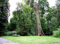 Zámecký park v Orlové