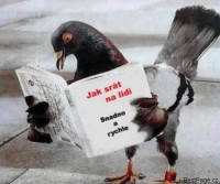 fotka uživatele Honziiik