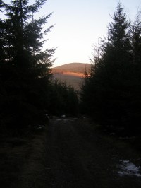 Jeřáb v zapadajícím slunci (foto z Křížové hory)