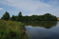 Pavlovský rybník, Jeníkovice