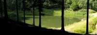 V létě je při toulkách Krušnými horami nad Krupkou příjemné osvěžení v Kotelním rybníku