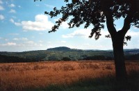 Pohled na Přírodní rezervaci Špičák u Krásného Lesa