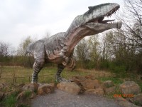 tyranosaurus rex