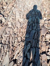 fotka uživatele Grej55