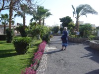 Hurghada - hotel Lillyland - zahrada