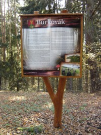 Burkovák - vrch