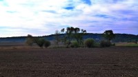 oáza zeleně v polích mezi Mokošínem a obcí Tupesy