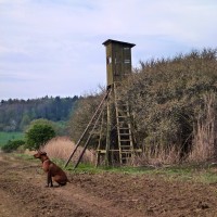 myslivecký posed na Lipoltické svodnici-vhodné místo ůkrytu při špatném počasí