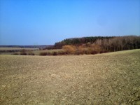 pohled východním směrem k silnici Mokošín - Přelouč a zalesněné vyvýšenině s sochou Mokoša
