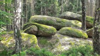  „kamenné stádo“  pokrývající plochu cca 17 ha lesa