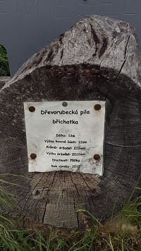 Konice-největší pila v ČR