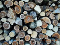 dostatečná zásoba dřeva pro chladnější počasí