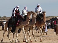 Berberský saharský festival na koních a velbloudech