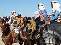 Berberský kůň je staré plemeno, dokonce tak staré, že jeho původ je zahalen tajemstvím.