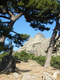 Col de Bavella