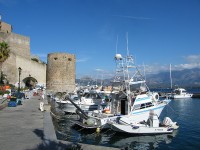 Calvi