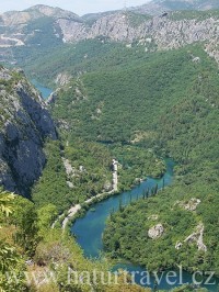 Cetina