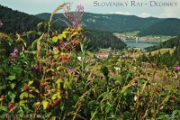 Dedinky Slovensky raj