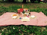 Piknik připravený Travelove