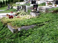 neoznačený hrob dvou obětí události na Prženských pasekách