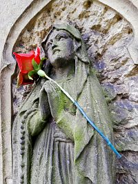 Na jediném hrobě růže. Hřbitov v Hylvátech, Ústí nad Orlicí.