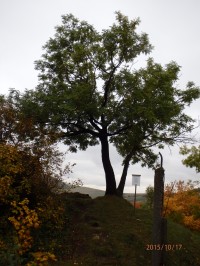 strom přání - Hrad Skalka