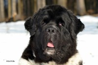 fotka uživatele Losta