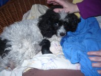 fotka uživatele labalka